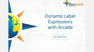 Dynamic Label Expressions with Arcade (ArcGIS Pro)