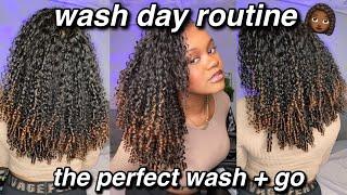 the SECRET to the PERFECT wash and go! | 3b-3c curly hair routine