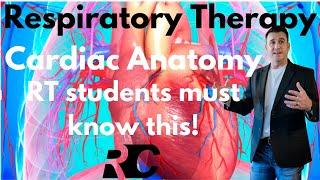 Respiratory Therapy - Cardiac Bloodflow