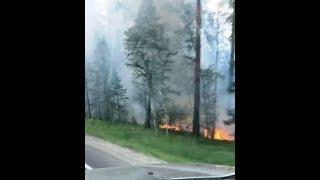 Горит лес на Мотах, култукский тракт, трасса "Байкал"