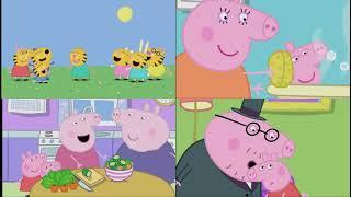 Peppa Pig All 4 Episodes Quadparsion 3