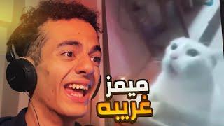 ميمز ما قبل المدرسه‍!! ( ميمز مضحكه)