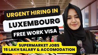 Luxembourg Work Visa How to apply Online 2024 #europe #job