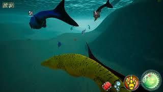 Mosasaurus - Pod Fight - | Beasts of Bermuda |