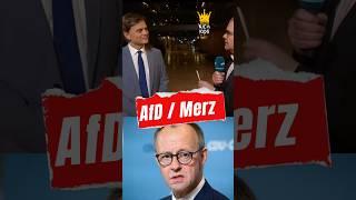 AFD / BAUMANN ATTACKIERT MERZ  #aliceweidel #politik #afd #cdu #bundestag #spd #chrupalla #merz