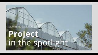 Project in the spotlight : a modern greenhouse for growing cannabis