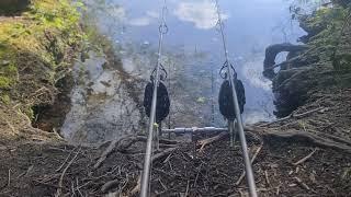 setting up your carp rods and reels