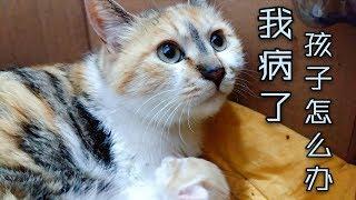 流浪猫妈不幸中标鼻支，还带着四个没睁眼的宝宝，铲屎官崩溃大哭