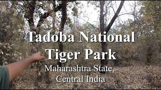 Taboba Tiger Reserve Park.