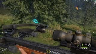 theHunter: Call of the Wild™ Степной бизон. 1 выстрел.