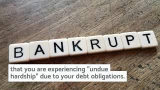 Bankruptcy And Student Loans - Zooberg Law Firm