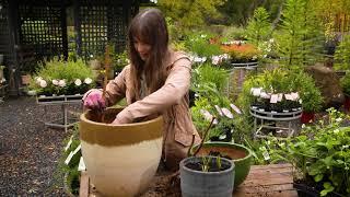 The Garden Gurus - Strawberries & Raspberries