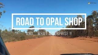 Surprise in our trip to OPAL SHOP | Opal Auctions