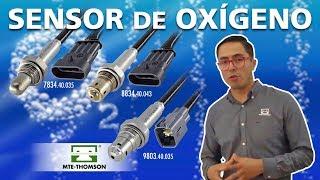 Sensor de Oxigeno MTE-THOMSON