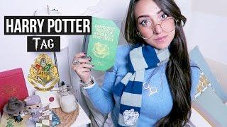 HARRY POTTER TAG || Julie Demar