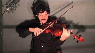 Tcha Limberger - Gypsy Jazz Viola - Tribute To Bamboula Ferret