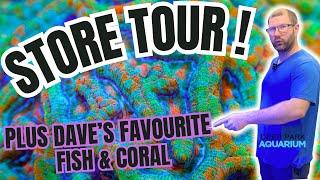 My LFS Tour & The Owners Favourite Fish and Coral!