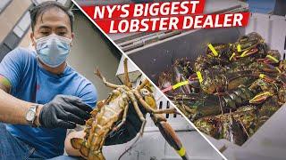 How Steven Wong Moves 80,000 Pounds of Lobster a Week — Vendors