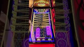 $55 BET MASSIVE JACKPOT HANDPAY WIN FIRESTORM LION BONUS - ENCHANTED PRINCESS CRUISE -20 Cents Denom