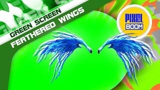 Green Screen Flapping Gold Feathered Wings - Footage PixelBoom