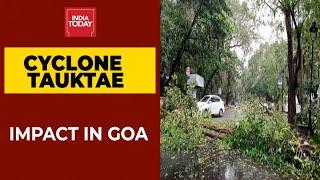 Cyclone Tauktae: Tress Fall, Roads Blocked & Cars Damaged In Goa