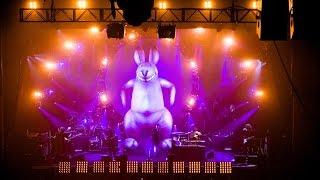 The Australian Pink Floyd Show  Live at The Royal Albert Hall (2007)