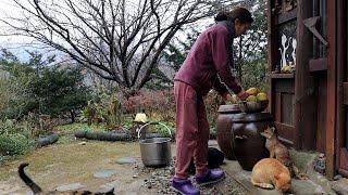 Winter daily life at a country house in the mountains of Korea~!!