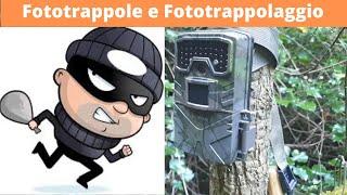 Mi hanno rubato le fototrappole! Beccato!