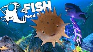 Cutest Giant Puffer Fish Ever! - Feed and Grow Fish Gameplay