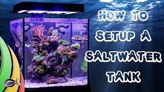 How To Set Up A Saltwater Fish Tank / Aquarium