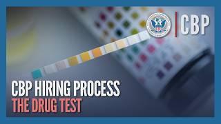 The Drug Test (Updated Dec 2024) - CBP Hiring Process | CBP