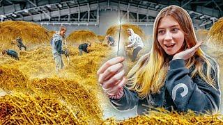 Who will be the FIRST to find the NEEDLE IN THE HAY STACK, will receive 250,000 RUBLES! 