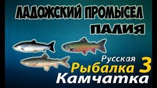 Русская Рыбалка 3.99 —Ладожский промысел (Палия)