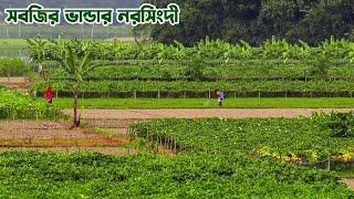 সবজির ভান্ডার নরসিংদী || Narsingdi - The Kingdom of Vegetables in Bangladesh || Panorama Documentary