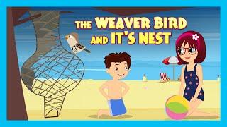 The Weaver Bird And It's Nest | New Kids Story | Tia & Tofu Storytelling | Kid's Stories | Kids Hut