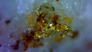 High in the mountains, finding visible GOLD on Quartz!