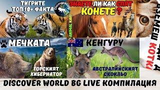 Компилация за животните Discover World BG/Pernati BG