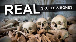 REAL Human Skulls and Bones in the Basement of a Church   4K