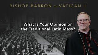 What Is Your Opinion on the Traditional Latin Mass? — Bishop Barron on Vatican II