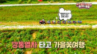 [동화나라원주] 가을 타고싶은 사람 모두 모여라!