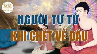 Kể Truyện Tâm Linh - Người Tự Tử Khi chết đi Linh Hồn họ sẽ đi về đâu ? Pháp Phật Giáo