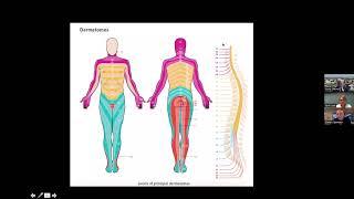 Brain 101 –  Session #1:  Intro to Neuro Anatomy with Dr. Steve Ojemann