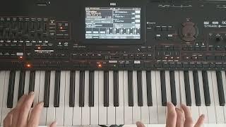New Italo Modern Martina Style (Instrumental Keyboard Korg Pa4x & Danekoo1)