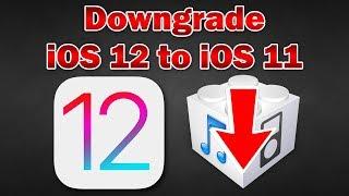 How to Downgrade iOS 12 Beta to iOS 11.4 / 11.4.1 on iPhone, iPod touch & iPad (Without Losing Data)