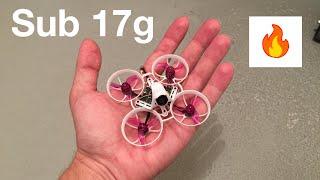 Sub 17g 65mm 1S Tiny Whoop | 65mm 1S vs 80mm 2S | Chasing other Whoops