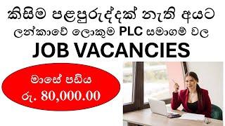 Top Job Vacancies in Sri Lanka 2024 for Beginners | No Experience Needed