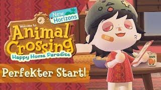 SO STARTET ihr PERFEKT ins NEUE Happy Home Paradise DLC! » Animal Crossing New Horizons 