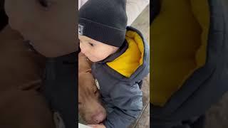 ПО ШТОРМИКУ ЕСТЬ ХОРОШИЕ НОВОСТИ.. ПОКА ВСЕ ПРОВЕРЯЕМ… #pitbull #собака #питбульсоник