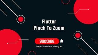 Flutter Pinch To Zoom Image