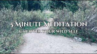 5-Minute Guided Meditation to Uncover Your Wild Self | Connect with Your Higher Self